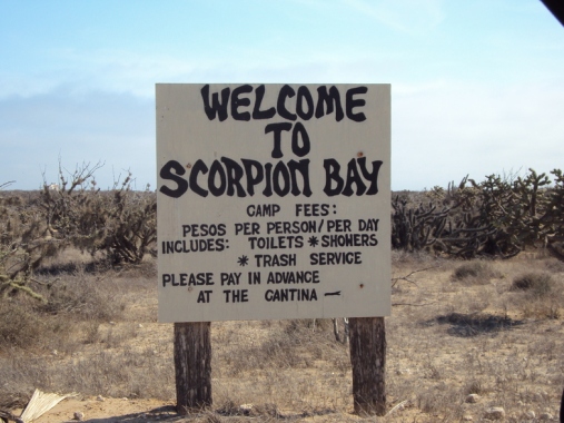 scorpion-bay-1
